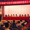 劉燕華副部長(zhǎng)出席中國醫(yī)療器械產(chǎn)業(yè)技術(shù)創(chuàng)新戰(zhàn)略聯(lián)盟成立大會(huì)